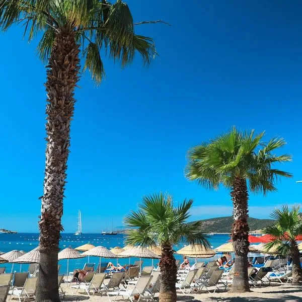 Marvida Senses Very Chic (ex. Otium Senses Very Chic) - zdjęcie 3