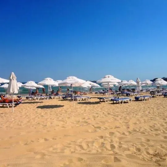 Sirena (Sunny Beach) - zdjęcie 4