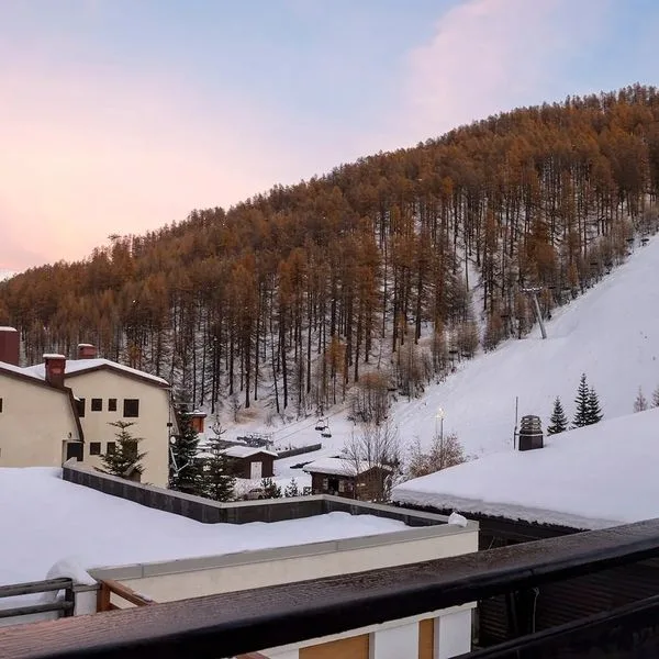 Hermitage - zdjęcie 3