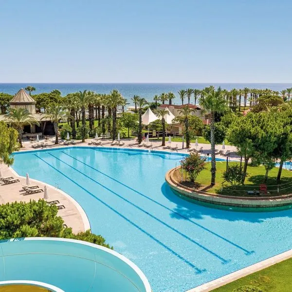 Papillon Ayscha - zdjęcie 4