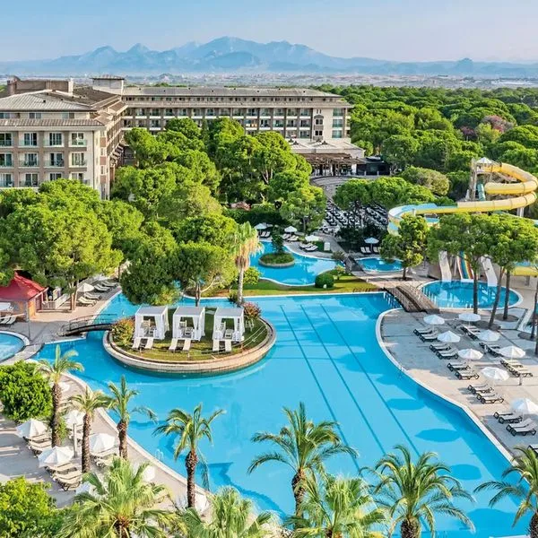 Papillon Ayscha - zdjęcie 3