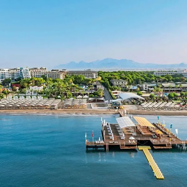 Papillon Ayscha - zdjęcie 5