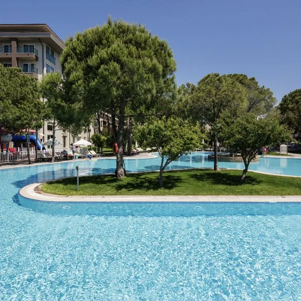 Papillon Ayscha - zdjęcie 2