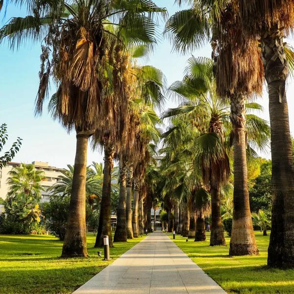 Miramare Beach (Side) - zdjęcie 5