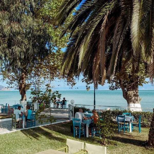 Vournelis - zdjęcie 4