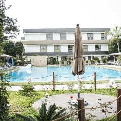 Mabrouk - zdjęcie 4