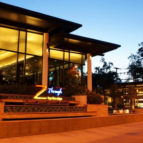 Z Through By The Zign - zdjęcie 3