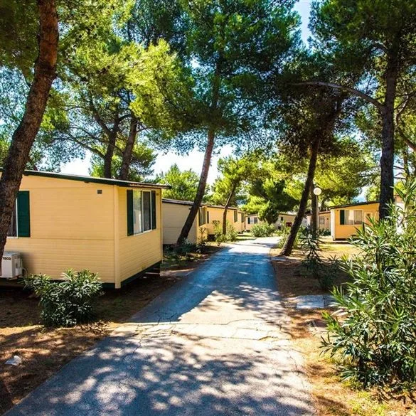 Camping Arena Indije - zdjęcie 3