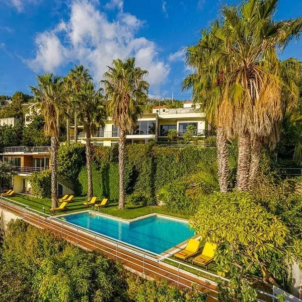 Casa do Papagaio Verde - zdjęcie 4