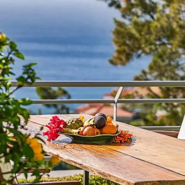 Casa do Papagaio Verde - zdjęcie 3