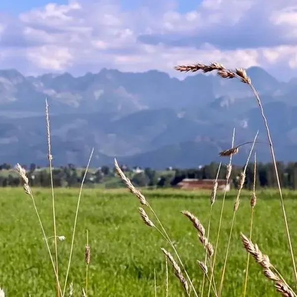 Zapotoczny Residence - zdjęcie 2