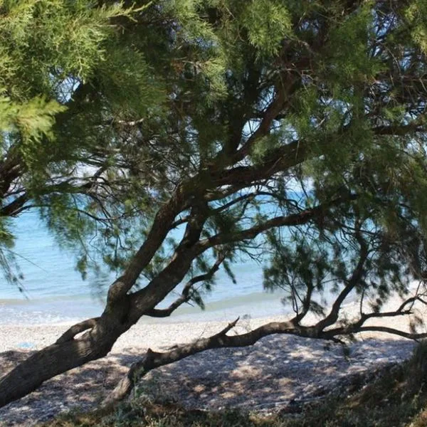 Asterias Bay (Theologos) - zdjęcie 2