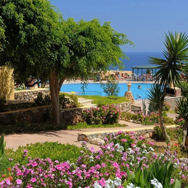 Marni Village - zdjęcie 2