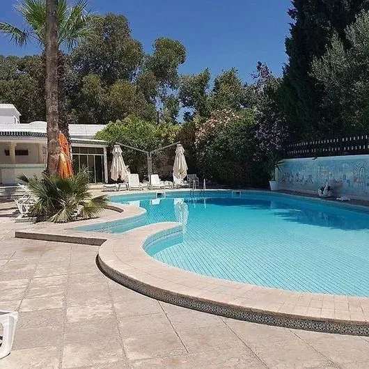 Mahmoud - zdjęcie 3