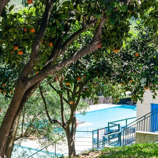 Blumarin Apart - zdjęcie 5