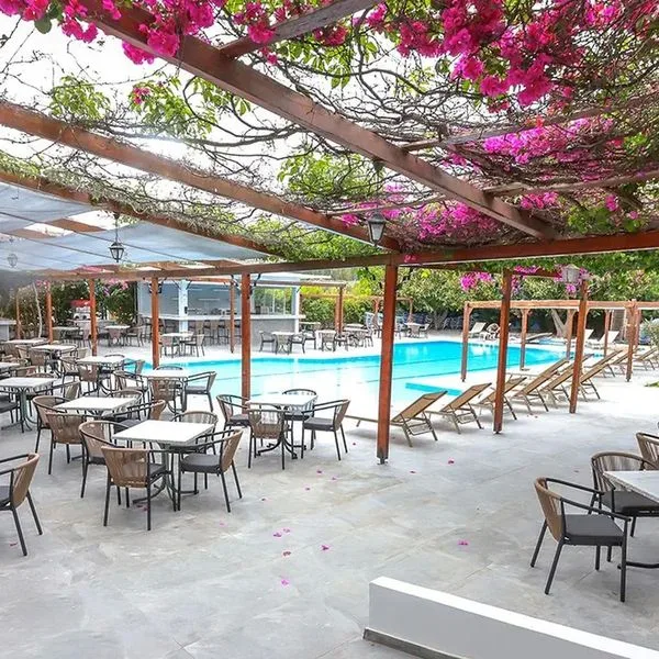 Belvita - zdjęcie 5