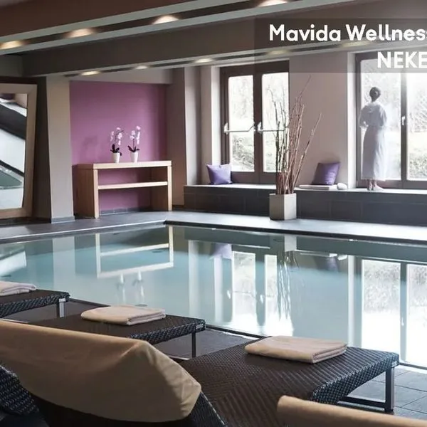 Haidvogl Mavida Zell am See - zdjęcie 4