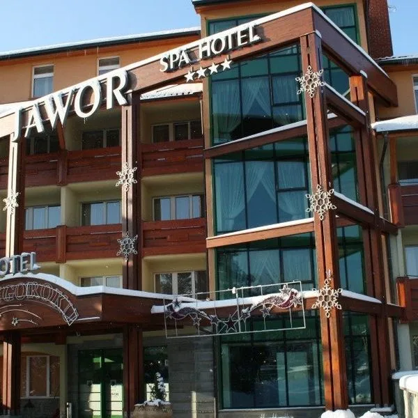 Jawor Spa - zdjęcie 2