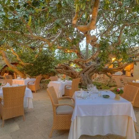 Ta Cenc - zdjęcie 4