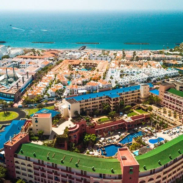 Best Jacaranda - zdjęcie 4