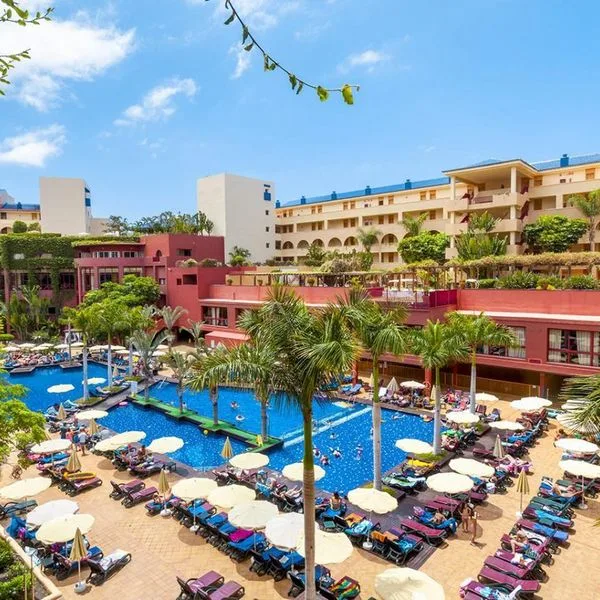 Best Jacaranda - zdjęcie 3