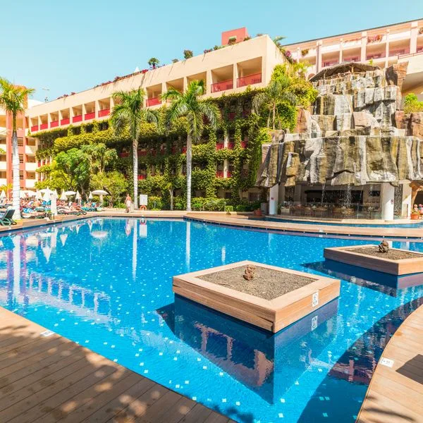 Best Jacaranda - zdjęcie 2