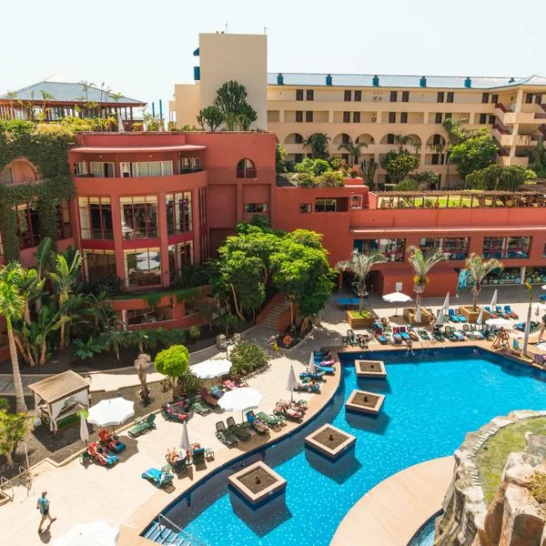 Best Jacaranda - zdjęcie 5