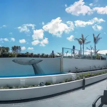 Whales Bay - zdjęcie 4