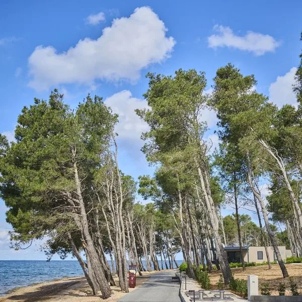 Aminess Avalona - zdjęcie 2