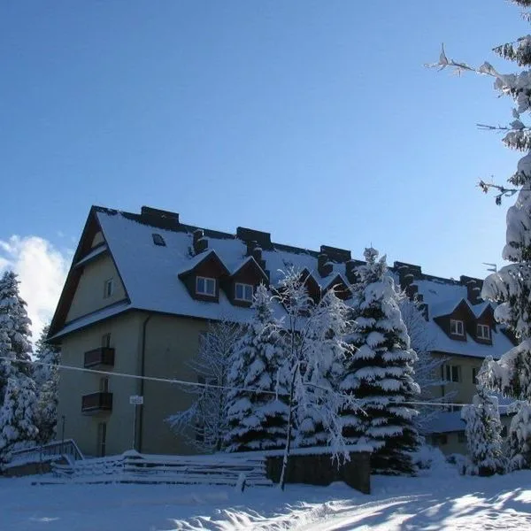 Diuna Beskidy (ex. Harnaś) - zdjęcie 3