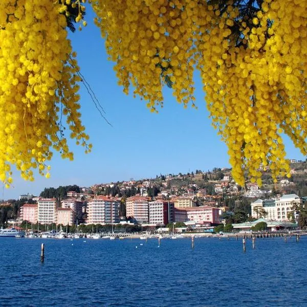 Life Class - zdjęcie 2