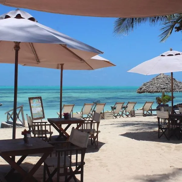 Blue Oyster - zdjęcie 4