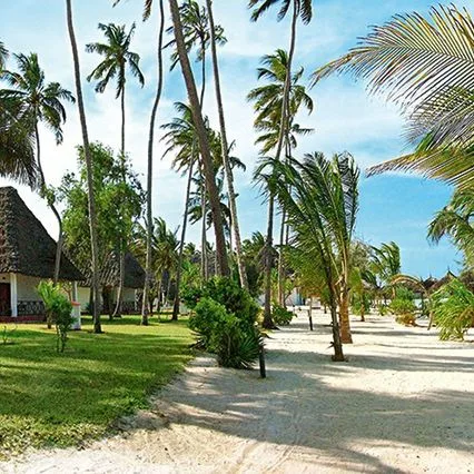 Jaz Adonia Beach Resort - zdjęcie 4