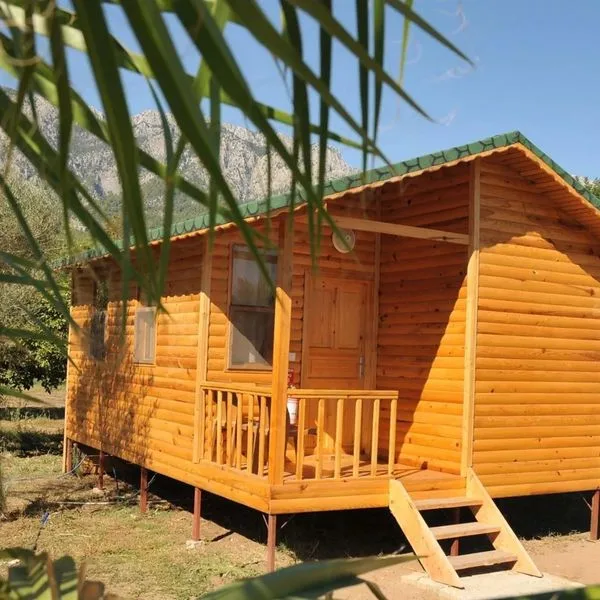 Elamir Beach Bungalow - zdjęcie 4