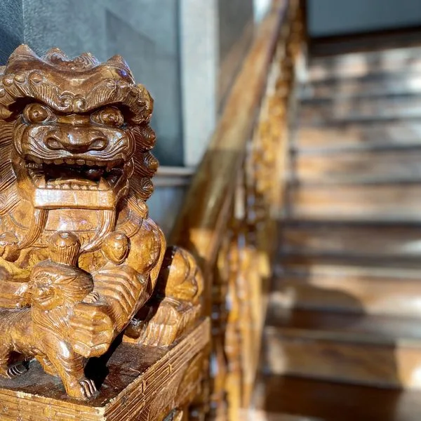 XO Infinity - zdjęcie 4