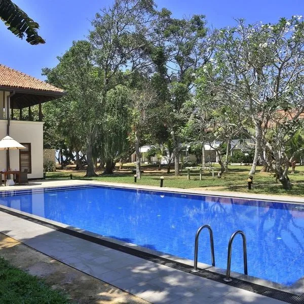 Hibiscus Beach - zdjęcie 5