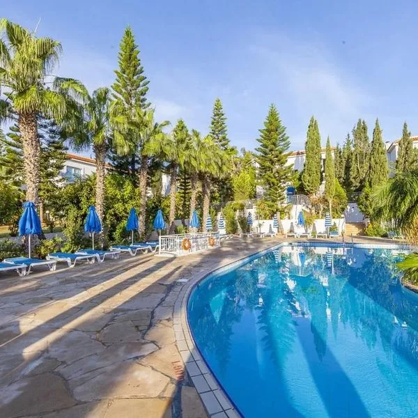 Andreotis - zdjęcie 2