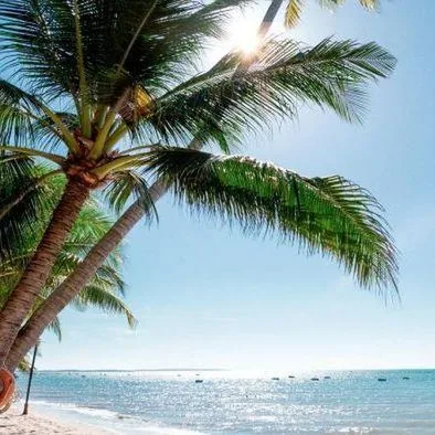 Hoang Ngoc Oriental Pearl Resort - zdjęcie 2