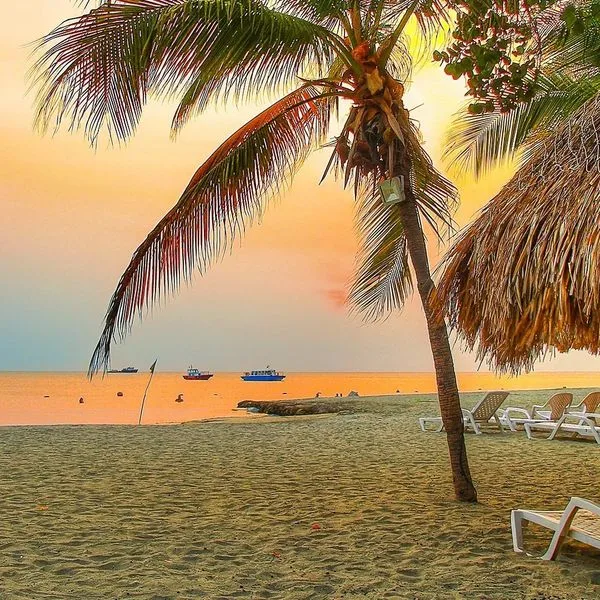 Estelar Santamar - zdjęcie 2