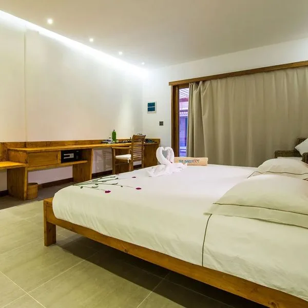 The Barefoot Eco - zdjęcie 5