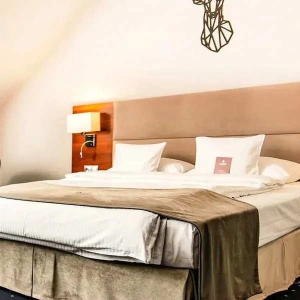 Park Hotel Łysoń - zdjęcie 3