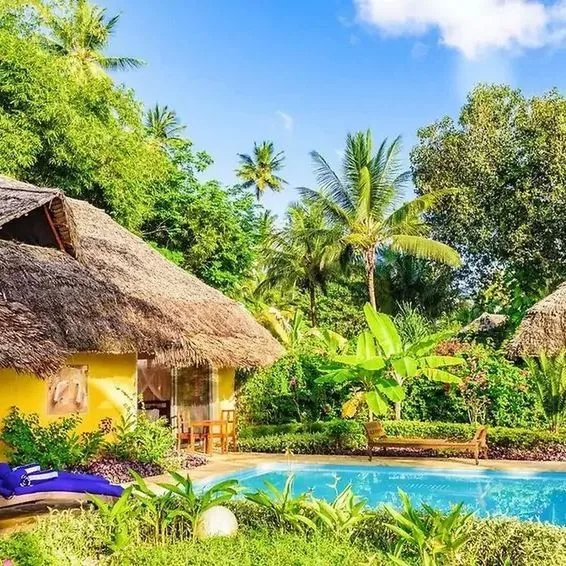 Zanzi Resort - zdjęcie 3