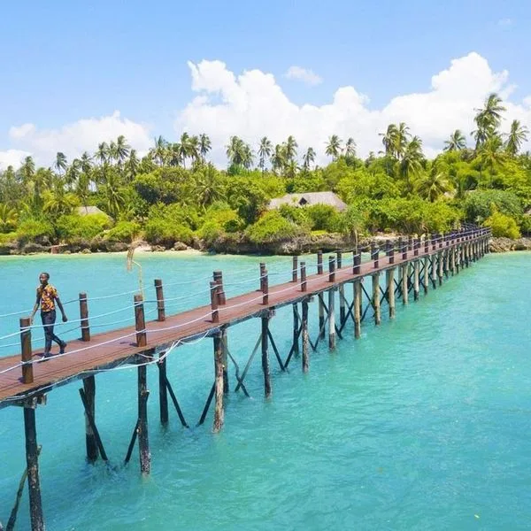 Zanzi Resort - zdjęcie 4