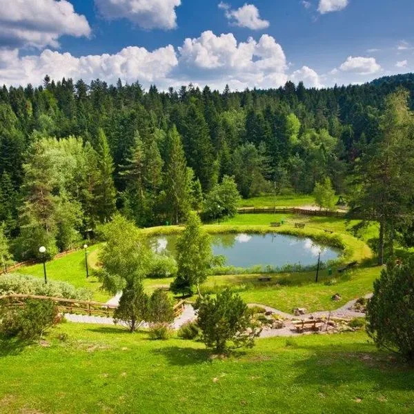 Perła Bieszczadów Geovita Czarna - zdjęcie 4