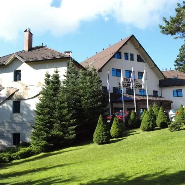 Perła Bieszczadów Geovita Czarna - zdjęcie 3