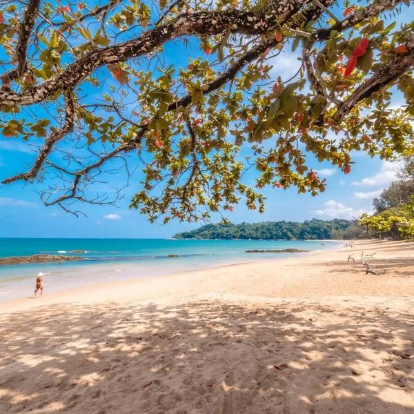 Eden Beach Resort & Spa - zdjęcie 4