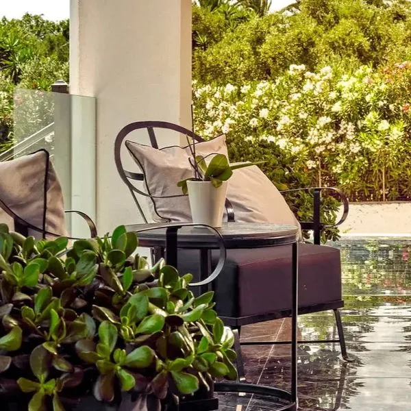 CEPU Orient - zdjęcie 3