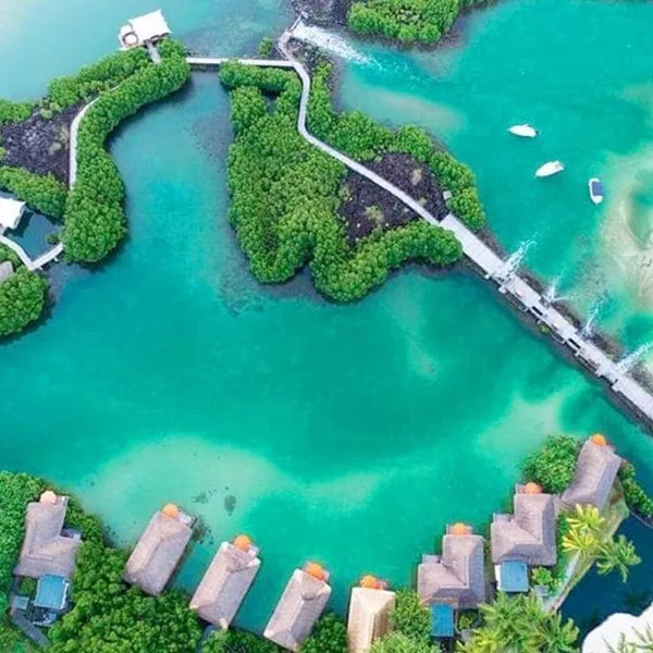 Constance Prince Maurice - zdjęcie 3