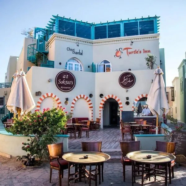 Turtles Inn - zdjęcie 3