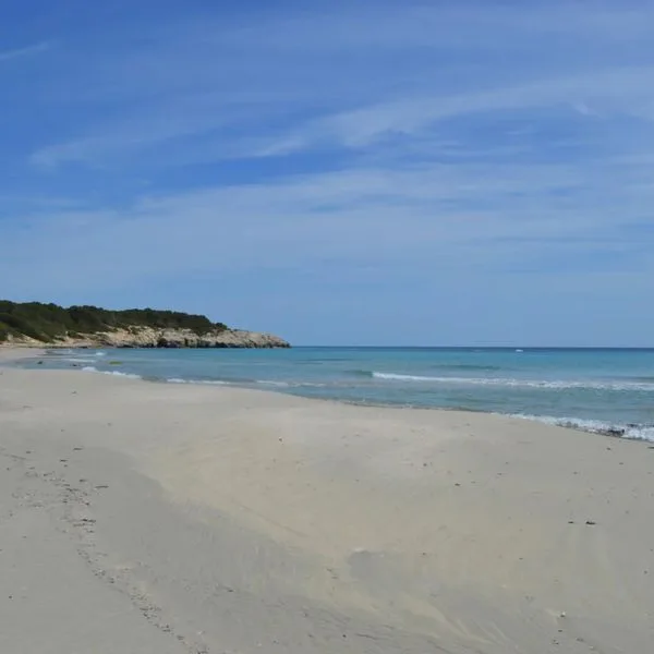 Mestral & Llebeig - zdjęcie 3